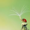 Fotogalerie: Sony World Photography Awards 2013 - Shortlist highlights - Open / Ne pro články!!!
