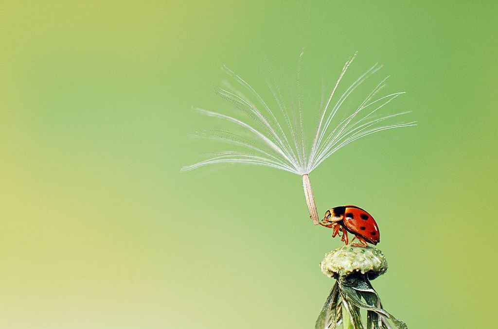 Fotogalerie: Sony World Photography Awards 2013 - Shortlist highlights - Open / Ne pro články!!!