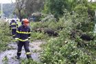Jihem Moravy se přehnala bouřka, hasiči odstraňují stromy na desítkách míst