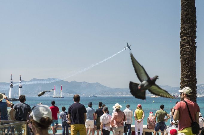 Red Bull Air Race Cannes 2018: Daniel Ryfa - Challenger Cup