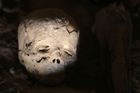 Archeologové se v Egyptě pochlubili novým nálezem mumií starých 3000 let