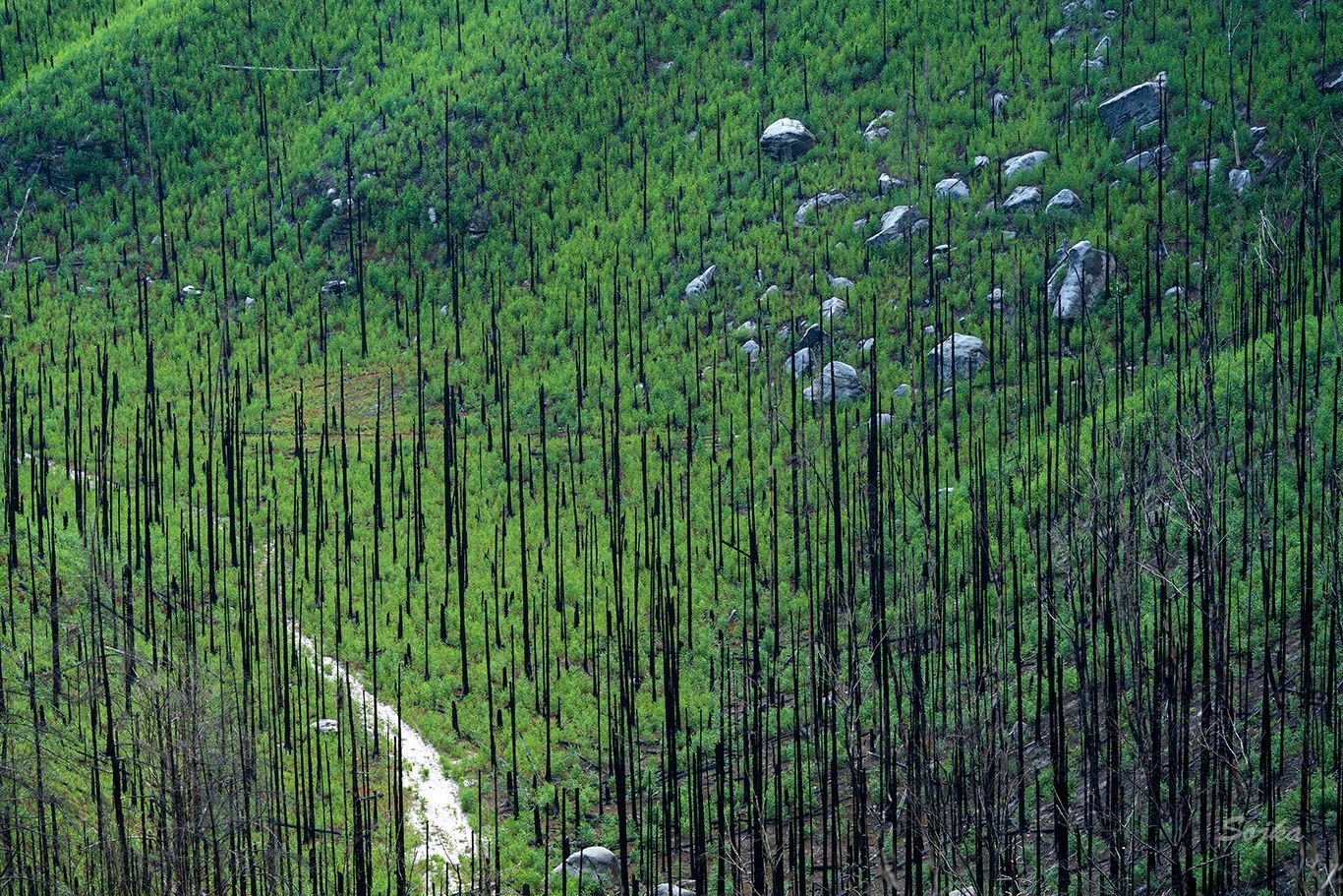 NP České Švýcarsko