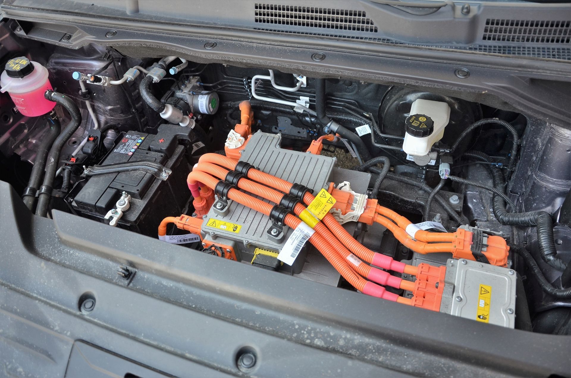 Maxus Euniq 5