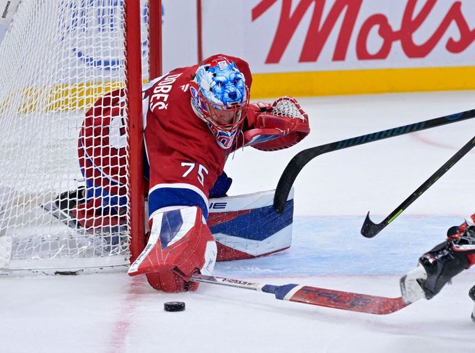 Brankář Montrealu Jakub Dobeš