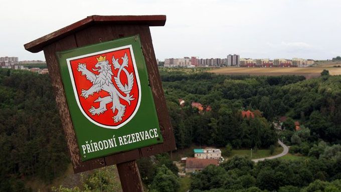 Okraj přírodní rezervace Prokopské údolí, v pozadí sídliště Barrandov.