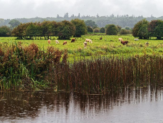 Tullamore, fotografie z města i z tamní výroby irské whiskey