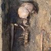 Archeologické vykopávky, Karlín, masový hrob, Vojenský hřbitov Karlín, kosti, archeologie, antropologie