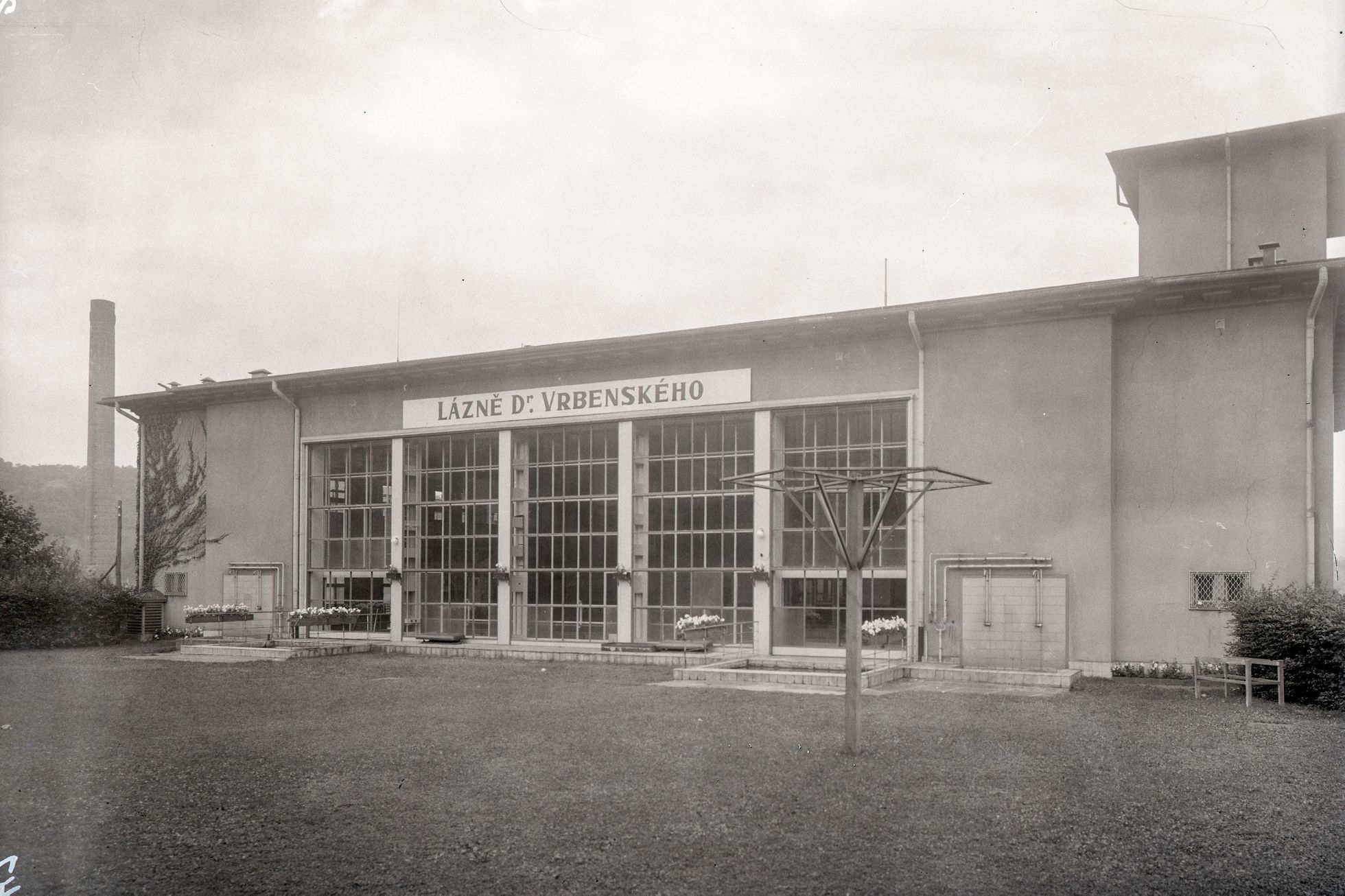 Mozkožrout, PAME, bakterie, epidemie, Ústí nad Labem, Domácí