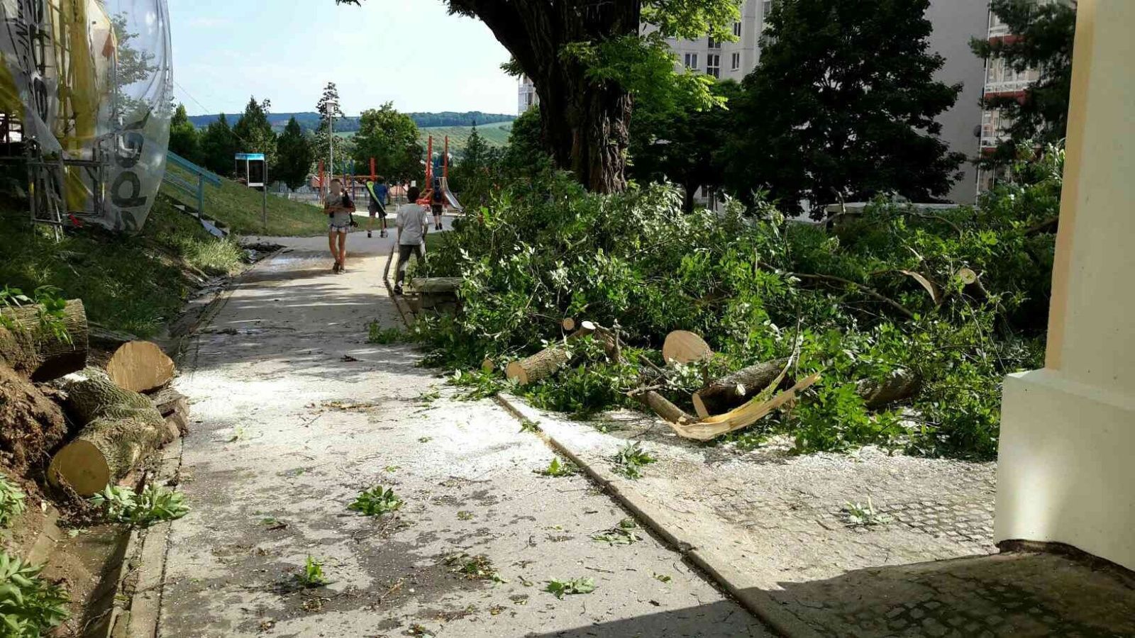 Hasiči v Jihomoravském kraji odstraňovali následky bouřky