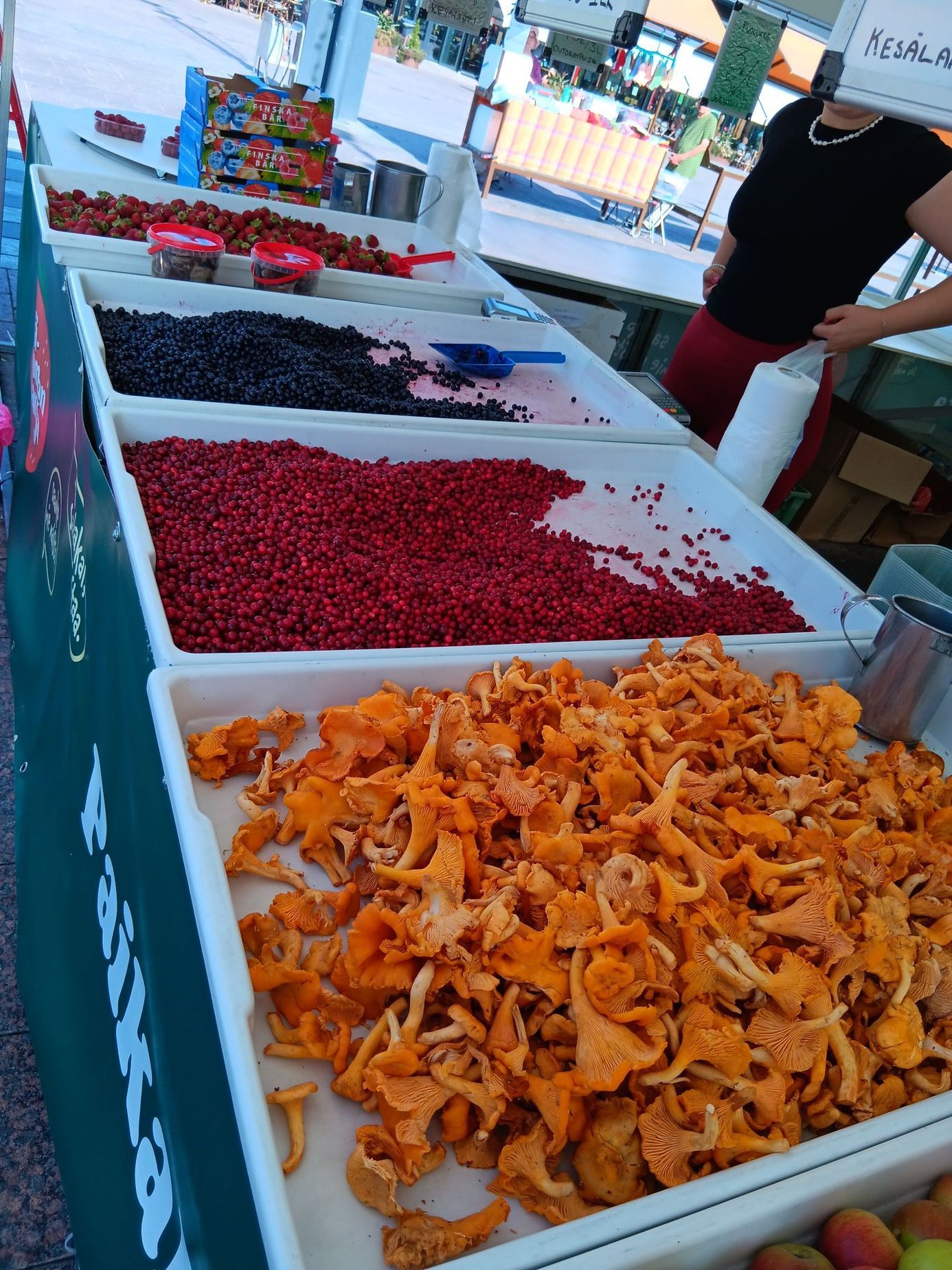 Archiv Michaely Ahonen