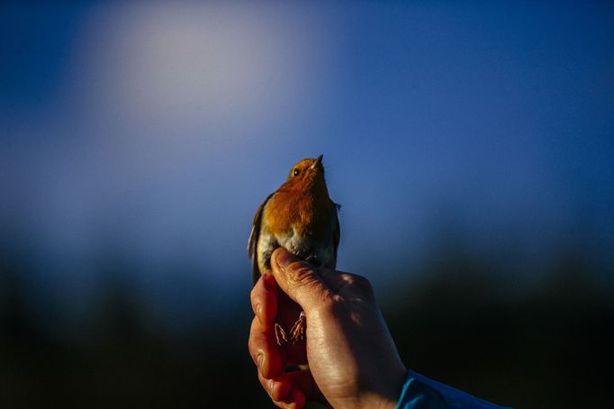 Nominace na Czech Press Photo 2019 - Životní prostředí