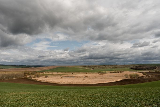 „Samotný mokřad byl ještě před pár lety neprostupnou rákosinou.