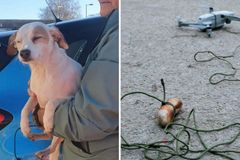 Dron s klobásou zachránil psa, kterému hrozilo utonutí