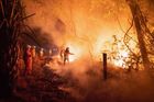 Natáčel v ohni bolivijského pralesa: Shořel kus země velký jako tři čtvrtě Česka
