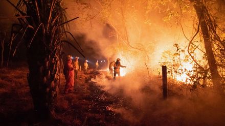 Natáčel v ohni bolivijského pralesa: Shořel kus země velký jako tři čtvrtě Česka