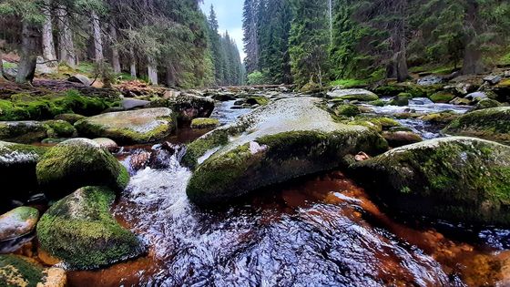 Foto: Nemá svůj pramen ani obvyklou barvu. Kaňonem nejkouzelnější řeky na Šumavě