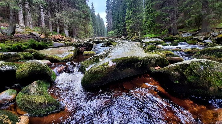 Foto: Hluboký kaňon, dravé "zpívající" peřeje. Vydra je nejkouzelnější řeka Šumavy; Zdroj foto: Pavel Švec