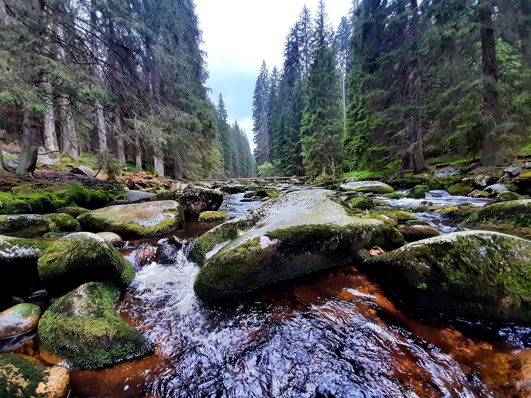 Povydří