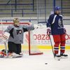 Radko Gudas, Tomáš Plekanec, Michal Neuvirth