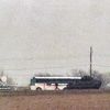 Davidiáni, Waco, Texas, David Koresh, obléhání, masakr, Zahraničí, sekta, USA