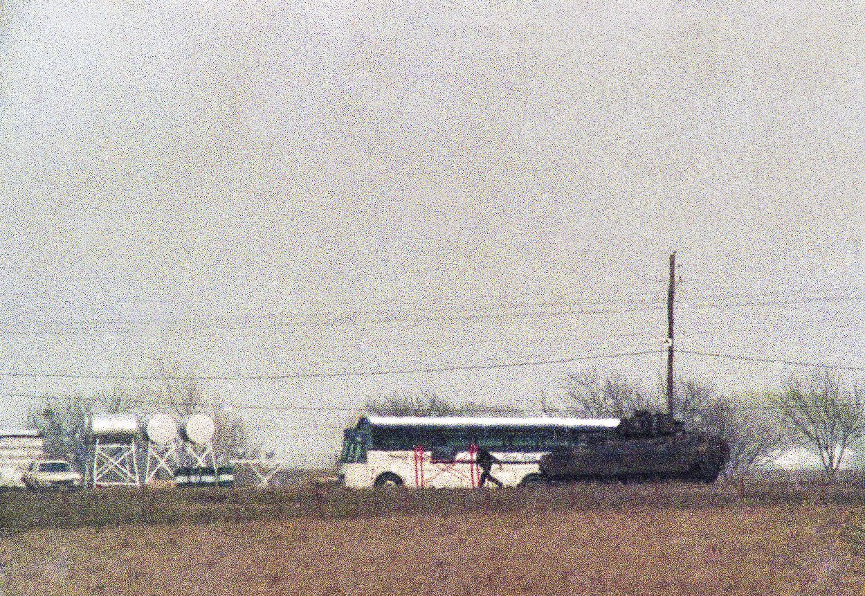 Davidiáni, Waco, Texas, David Koresh, obléhání, masakr, Zahraničí, sekta, USA