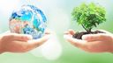 #ECOlife: Jak se žije udržitelně? Sedm jednoduchých zásad, jak na to!