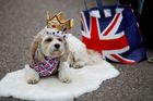 Velká Británie oslava královna platinové jubileum