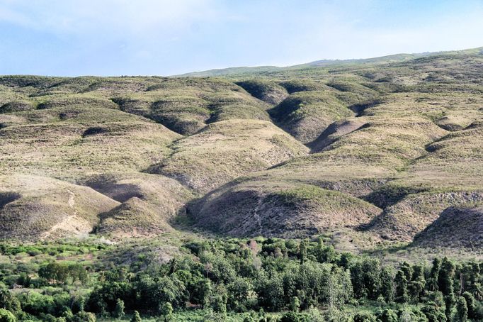 I proto je jedním z největších enviromentálních problémy nedostatek stromů.