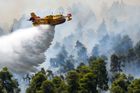 Lesní požáry v Řecku matou migrující čápy, při přeletu do Afriky umírají