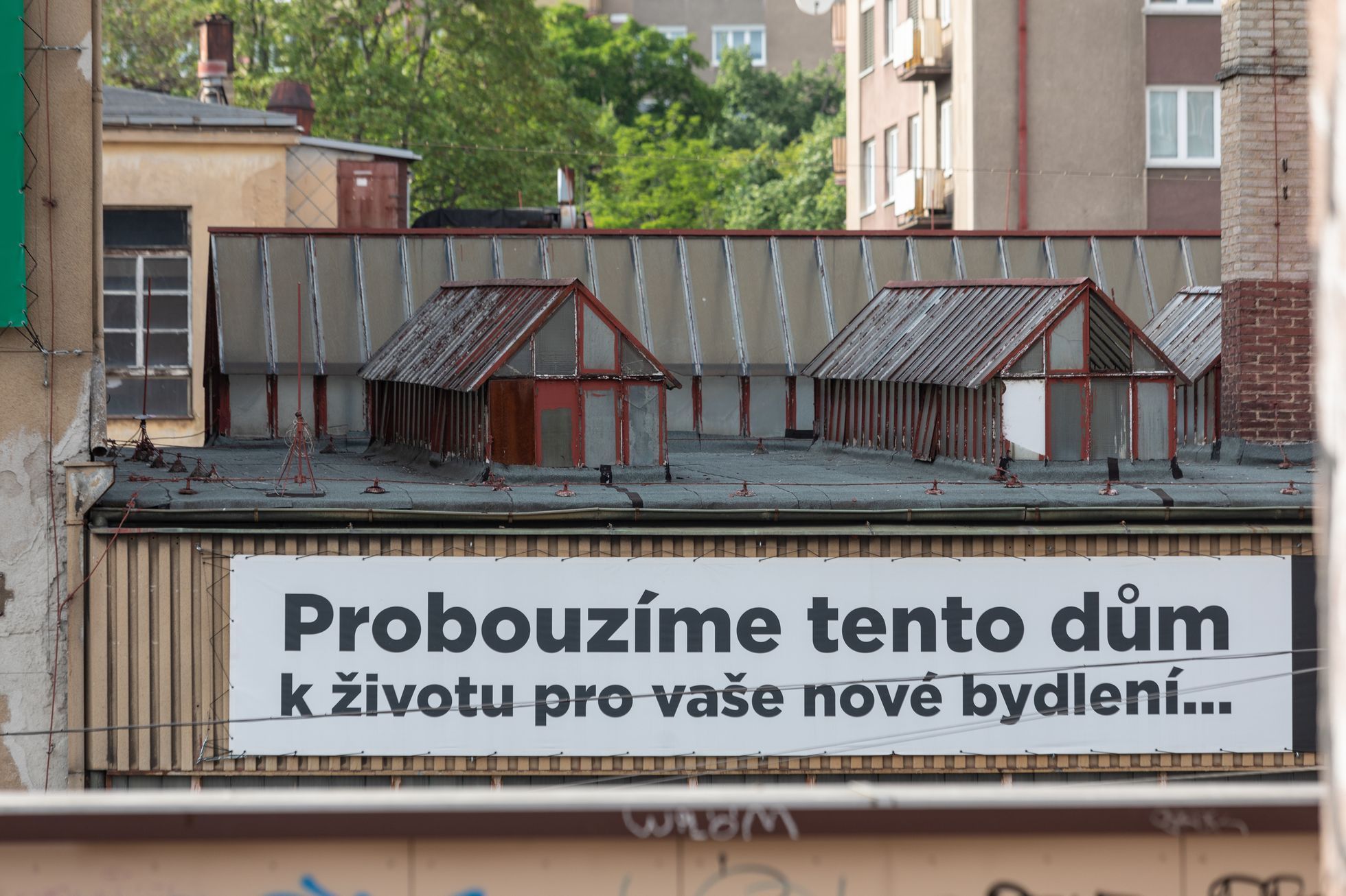 Kooh-i-noor, Vršovice, Praha, Domácí