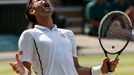 Djokovič vs. Del Potro, semifinále Wimbledonu 2013.