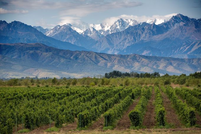 Mendoza, Argentina