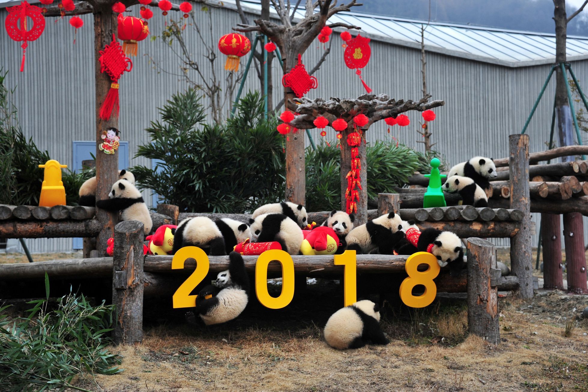 Oslavy čínského nového roku