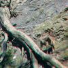 ZOO 3D
