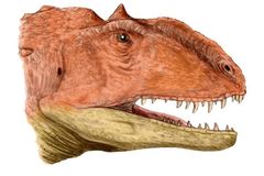 Madagaskarskému dinosaurovi dorůstaly zuby každé dva měsíce, připomínal žraloka