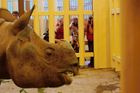 Plzeňská zoo hlásí návštěvnický rekord, počasí navzdory