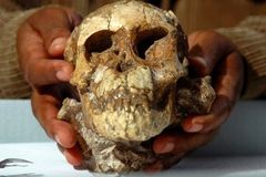 Naši předkové se s neandertálci nekřížili, tvrdí vědci