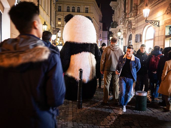 Praha chce zakázat obří masky medvědů, pand a goril