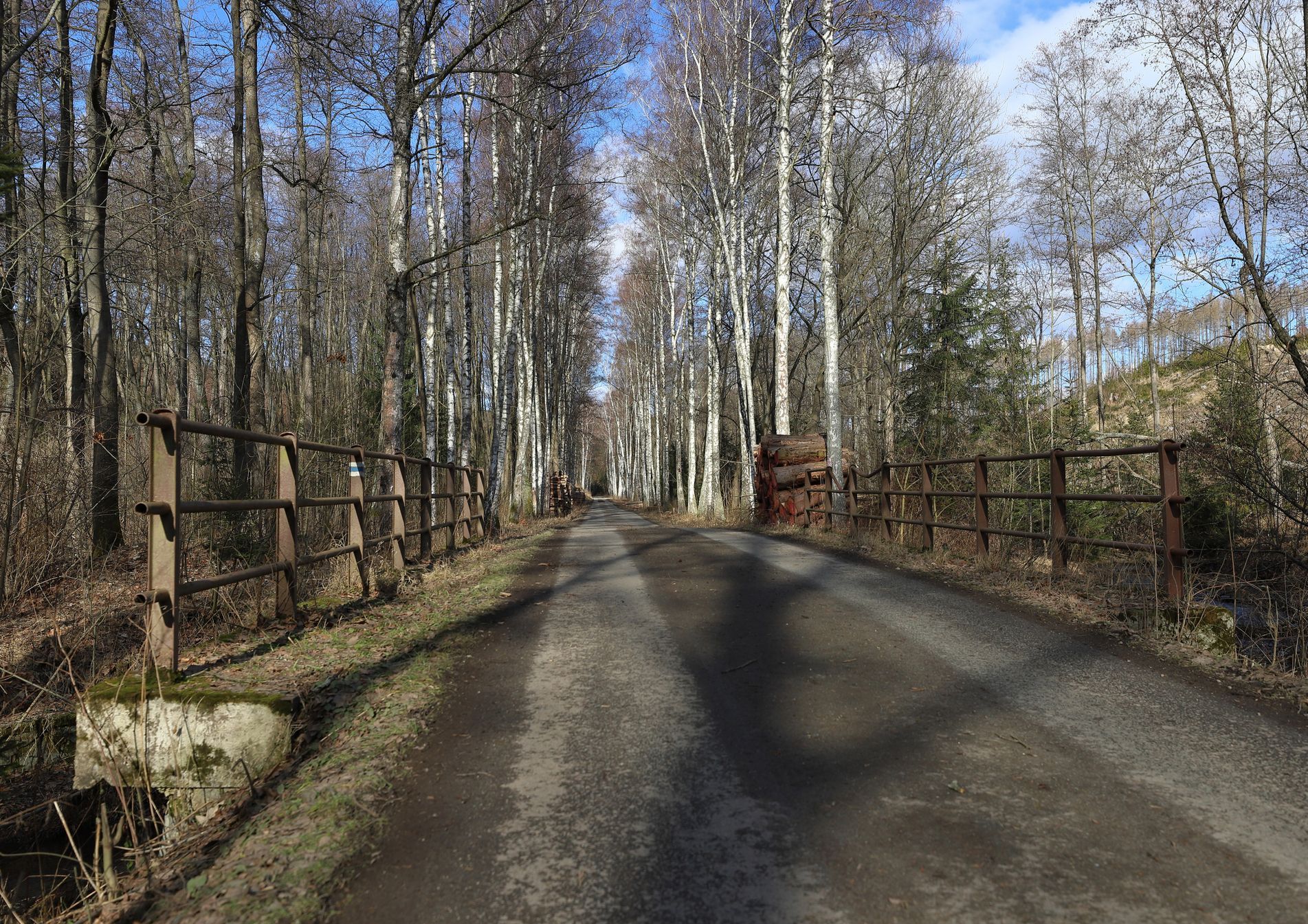 Soutěžní snímky Alej roku 2022