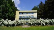 Na břehu stejnojmenného rybníka s nádherně čistou vodou stojí hotel Chytrov. Najdete ho na okraji jižních Čech a České Kanady, poblíž Telče. V recenzích je opakovaně vyzdvihován jako místo, kde lidé přirozeně zvolní. Podle slov majitelky hotelu Evy Nejedlé tu s mobily hosty nevídají.