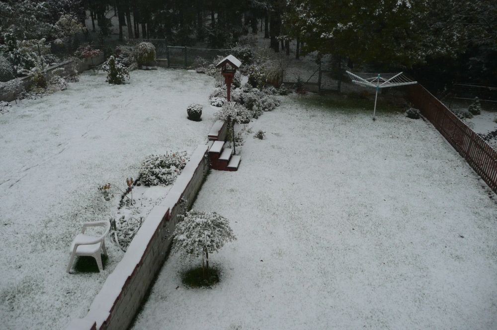 Srubec