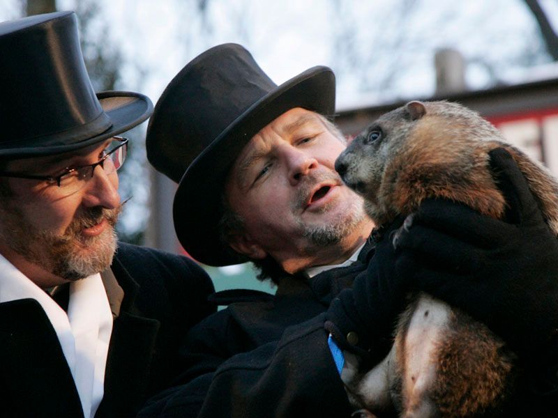 Svišť Phil předpověděl USA zimu