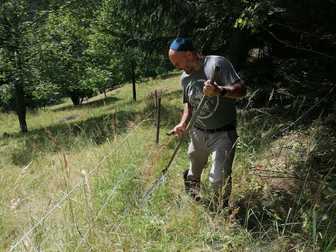 Kosení trávy, která zasahuje do elektrických ohradníků.