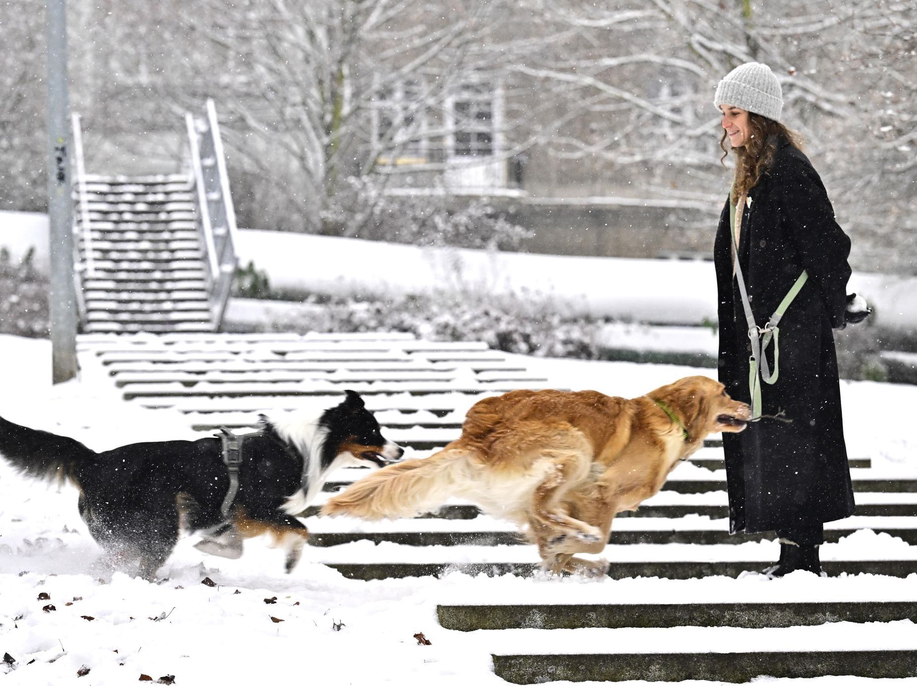 Česká republika, sníh, doprava, sněžení, kalamita