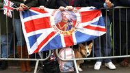 Durham, Británie: Corgi sleduje dění mezi lidmi čekajícími na příjezd krále Karla III. a královny Camilly ke slavnostnímu obřadu v durhamské katedrále, kde panovník rozdává tradiční Maundy money (rozdávání mincí).