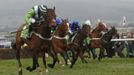 Noel Fehily (L), riding on Rock on Ruby, jumps the last fence ahead of Jason Maguire, riding on Overturn (2nd L), and Ruby Walsh, winning the Champion Hurdle Challenge Trophy at the Cheltenham Festival horse racing meet in Gloucestershire, western England March 13, 2012.