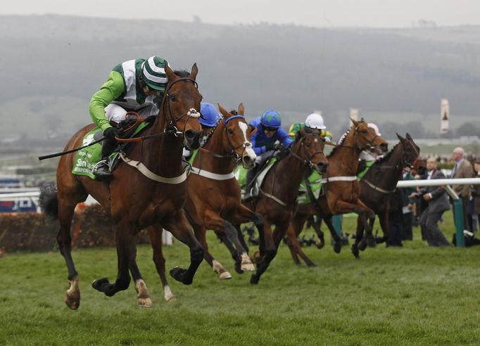 Noel Fehily (L), riding on Rock on Ruby, jumps the last fence ahead of Jason Maguire, riding on Overturn (2nd L), and Ruby Walsh, winning the Champion Hurdle Challenge Trophy at the Cheltenham Festival horse racing meet in Gloucestershire, western England March 13, 2012.