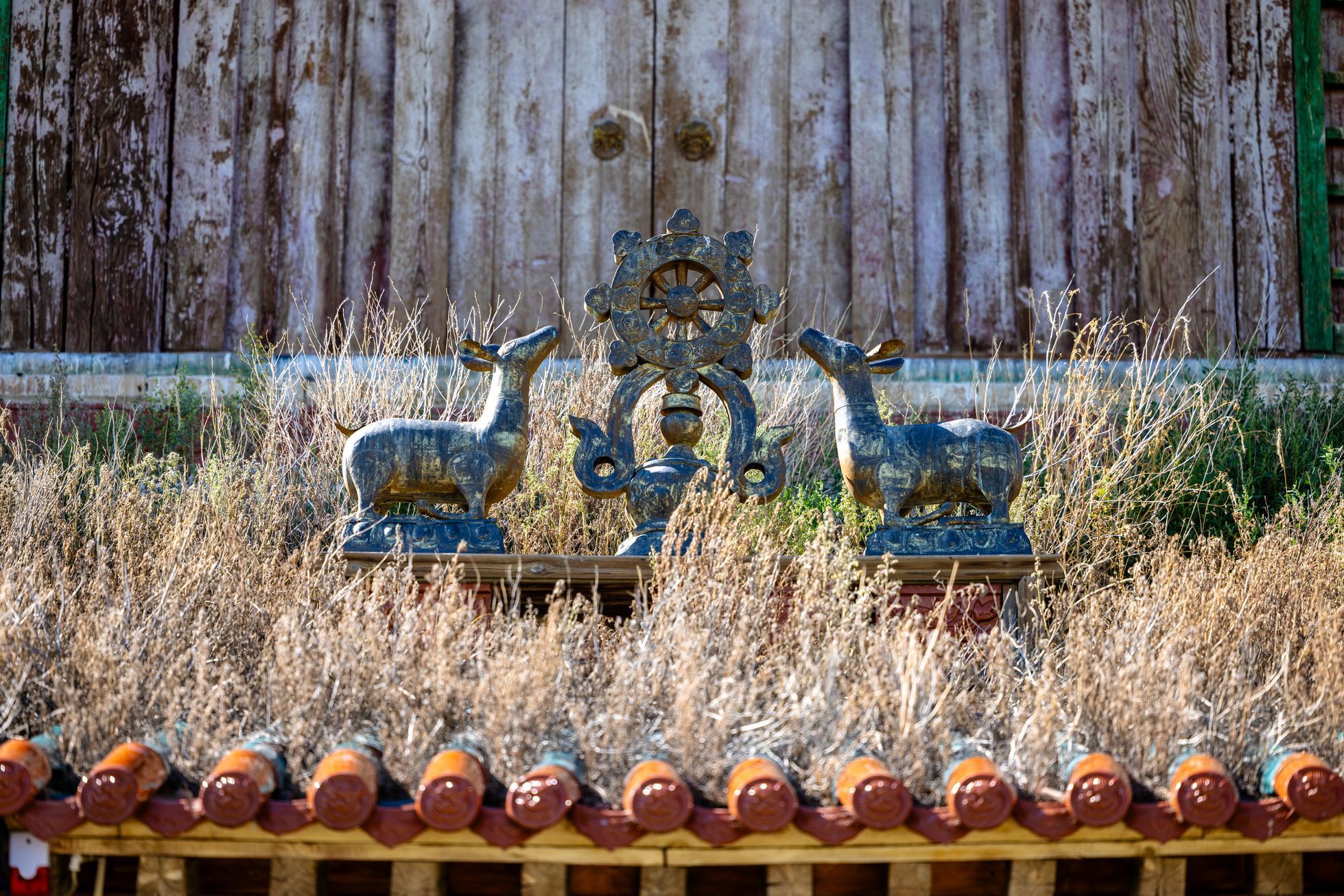 Žlutá žába Dan Přibáň