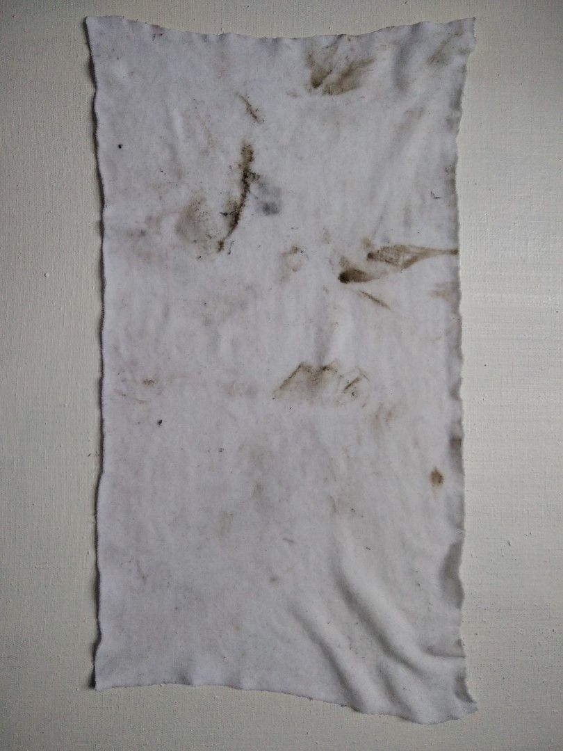 Lenka Zadražilová: Prachovky