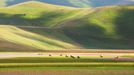 Rozkvetlé louky v okolí Castelluccia di Norcia, Itálie